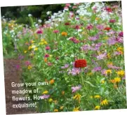  ??  ?? Grow your own meadow of flowers. How exquisite!