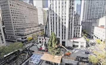  ?? Diane Bondareff / AP for Tishman Speyer ?? The 2018 Rockefelle­r Center Christmas tree, a 72-foot tall, 12-ton Norway Spruce from Wallkill, is craned into place on Saturday in New York. The tree lighting ceremony is Nov. 28.