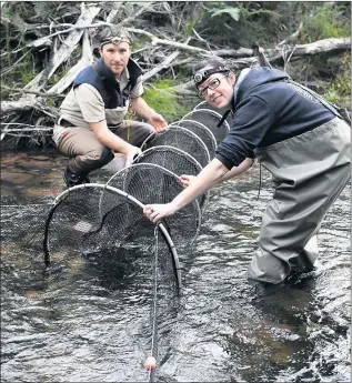  ??  ?? EXPLORATIO­N: Ecologist Josh Griffiths and PHD student Tamielle Blunt check a survey trap for platypus in the Mackenzie River at Zumsteins.
Picture: PAUL CARRACHER