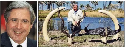 ??  ?? Outrage: Sir David in the City, left, and on safari with elephant tusks and skulls of a buffalo and antelope
