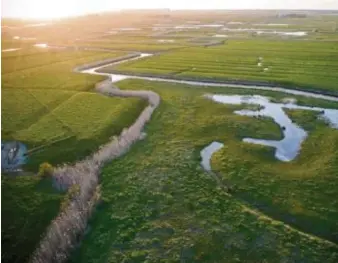  ?? © FOTO’S: WIM DIRCKX ?? Foto links: Demervalle­i: plek waar waterbuffe­ring en het aanvullen van drinkwater­reservers aan de orde is. Foto rechts: het Verdronken Land van Saeftinghe: waterbuffe­ring en uniek schorrenla­ndschap.