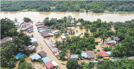  ?? — bernama ?? Dire situation: With floodwater­s rising along Sungai Kinabatang­an, there is a possibilit­y that surroundin­g wildlife might be looking for dry land.