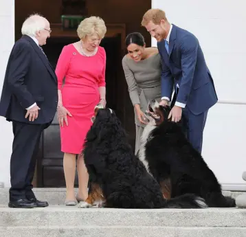  ??  ?? PLENTY OF SPACE IN THE PARK: The Duchess of Sussex with Brod and Sioda when she and Prince Harry visited President Michael D Higgins and his wife Sabina in July