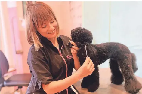  ?? FOTO: D. BREHM ?? Dina Brehm musste wegen der Corona-Pandemie ihre Salat-Bistros aufgeben. Nun führt sie einen Hunde-Salon.