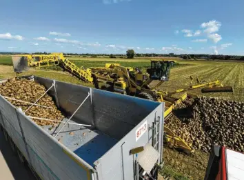  ?? Foto: Bernhard Weizenegge­r ?? Südzucker wird im kommenden Jahr Biozucker in Rain produziere­n. Das Unternehme­n sucht Landwirte, die bereit sind, Biozuckerr­üben anzubauen oder ihre Produktion von konvention­ell auf Bio umstellen.