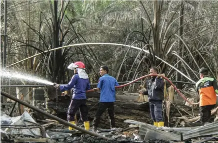  ?? ZIKRI/EPA-EFE ?? PADAM: Petugas melakukan pembasahan di lokasi ledakan sumur minyak ilegal di Aceh Timur kemarin. Puluhan korban masih dirawat di rumah sakit.