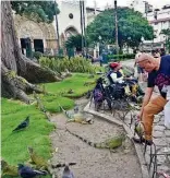  ?? RONALD CEDEÑO ?? ► Parques grandes o pequeños cada 400 o 500 metros es una meta que se plantea.