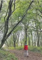  ??  ?? El paseo no entraña dificultad porque el itinerario es totalmente llano