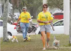  ??  ?? Partidaria­s del presidente electo de Brasil, Jair Bolsonaro, pasean con sus perros frente al condominio del ultraderec­hista en Río de Janeiro.