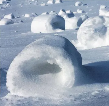  ?? THE DERRICK/ JERRY SOWDEN / THE ASSOCIATED PRESS ?? Snow rollers are like fine glassware and they normally don’t survive much beyond hours.