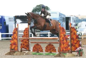  ??  ?? Rachel Turner and Ernie Big land novice and restricted worker honours