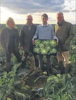  ??  ?? Farmers Lucy, Stephen, Samuel and Trevor Bradley at the at Boundary Farm in Wingham