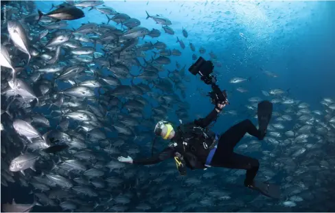  ?? ?? Drifting with the jackfish at Aravind’s Wall