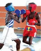  ?? ANTÓNIO SOARES ?? Combates entre amadores foram renhidos