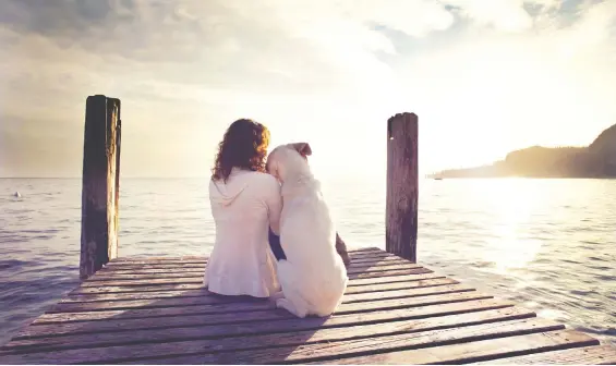  ?? GETTY IMAGES/ISTOCK PHOTO ?? The new book Dog's Best Friend explores the deep and lasting connection between people and their beloved canines.