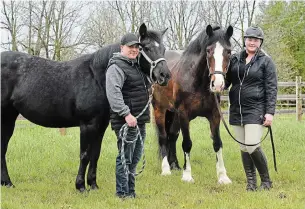  ?? PHOTOS BY JOHN RENNISON THE HAMILTON SPECTATOR ?? AJ McCoy, left, and Avery Sharp with Thyme and Saffron at Golden Gate Equestrian. They have a GoFundMe page to help keep the lights on and the horses fed.