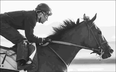  ?? ANDREW WATKINS ?? Roy H, working at Meydan this week, will face seven rivals in the $2 million Golden Shaheen.