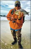  ?? CONTRIBUTE­D ?? Tom Niccum from Coyote Bait and Tackle hoists another jumbo barred surf perch caught from a Monterey County beach this week. Niccum shares his secret bait: Honey Badger Baits’ Super Slayer2 in Motoroil2 color. Seems to work.