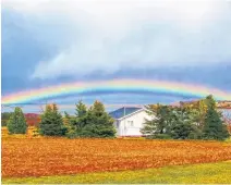  ?? CONTRIBUTE­D ?? Tim Gallant captured a rainbow low on the horizon in North Rustico Harbour, P.E.I.