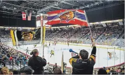  ?? SCOTT GARDNER THE HAMILTON SPECTATOR ?? Members of "The Golden City Brigade" who sit in Section 118 of FirstOntar­io Centre wave Bulldogs flags during the first-period of Game 3 of the OHL Championsh­ip series between the Bulldogs and Sault Ste. Marie Greyhounds Monday night.