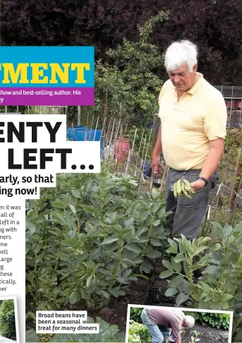  ??  ?? Broad beans have been a seasonal treat for many dinners