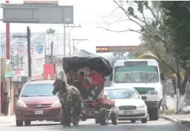  ?? JOSÉ LUIS TAPIA ??