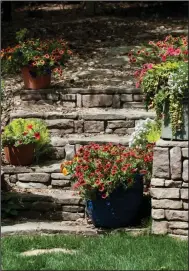  ??  ?? Stair stepping mixed containers of Superbells Calibracho­as like Pomegranat­e Punch and Tangerine Punch and Supertunia Petunias add layers of depth and color for the long growing season ahead.