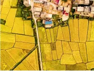  ?? Cnsphoto ?? 30 de septiembre de 2018. Tierras de cultivo de alto estándar en la aldea de Longfu, provincia de Jiangxi.