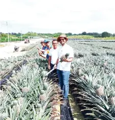  ?? ?? (From right) Umar, Yap, Suffian and Ali Yusup during the visit to the SG1 pineapple plantation at TG Agro Fruit Sdn Bhd in Kampung Sungai Tukau.