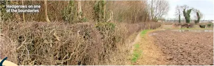  ?? ?? Hedgerows on one of the boundaries