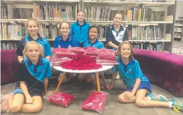  ??  ?? BIG EFFORT: Redlynch State College students Taryn Knight, Sarah Poing-Destre, Sari Thomas Rampal, Tamsyn Knight, Tayla Boserio, Rebecca Ellis and Phoebe Allen with their crocheted poppies.