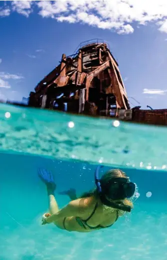  ?? Photo: Contribute­d ?? EXPLORE: Snorkellin­g the wrecks at Tangalooma is surprising­ly relaxing.