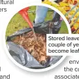  ??  ?? Stored leaves take a couple of years to become leaf mould