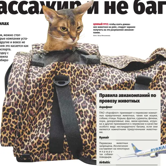  ??  ?? ЦЕННЫЙ ГРУЗ: чтобы взять домашнее животное на рейс, следует заранее получить на это разрешение авиакомпан­ии.