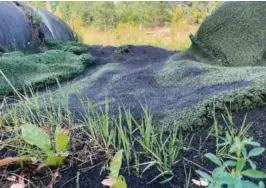  ?? FOTO: JONAS FOSSING ?? Blant rullene ligger det også masse gummi granulat. Årlig så forsvinner rundt 1.500 tonn granulat ut i naturen, ifølge Norsk Gjenvinnin­g.