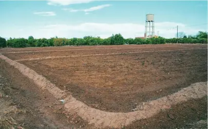  ?? KIKE TABERNER ?? La experienci­a que podría ponerse en marcha en la comarca de El Rincón de Ademuz afectaría a unas 500 hectáreas