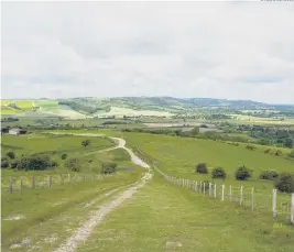  ?? DANIEL GREENWOOD ?? Clockwise from left: Trails lead for the South Downs National Park Andy Gattiker; looking down the South Downs Way from Amberley to Washington; and walkers on the South Downs National Trail