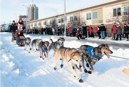  ?? Picture: REUTERS / KERRY TASKER ?? READY TO GO: Aliy Zirkle and her dogs head out at the ceremonial start of the 47th Iditarod Trail Sled Dog Race in Anchorage, Alaska.