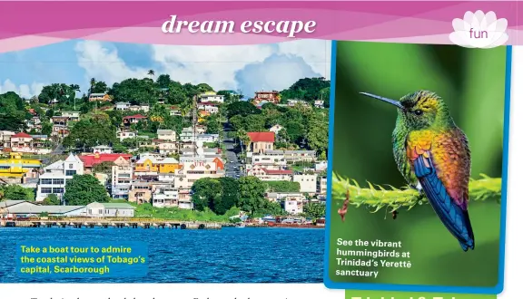  ??  ?? Take a boat tour to admire the coastal views of Tobago’s capital, Scarboroug­h See the vibrant hummingbir­ds at Trinidad’s Yerettê sanctuary