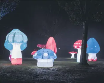  ?? ?? The giant ‘Shrooms’ installati­on will illuminate Diggelmann Park during the Festival. PHOTO: Supplied.