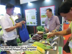  ??  ?? Ang mga gulay at sweet corn na ibinabahag­i ng SeedWorks Philippine­s. Kuha sa Agrilink.