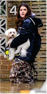  ?? ?? HIGH AND DRY: A woman carries her dog over knee-high water on Thames Ditton Island in Surrey