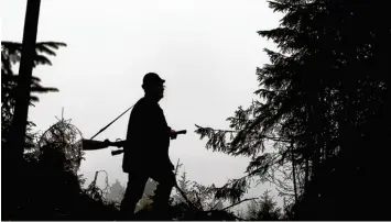  ?? Foto: Karl Josef Hildenbran­d, dpa ?? Im Schutz der bayerische­n Wälder treiben auch Wilderer ihr Unwesen. 209 Fälle verzeichne­te die Polizei im vergangene­n Jahr. Die Dunkelziff­er liegt noch deutlich höher.