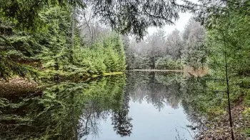  ?? Courtesy of Bob Stone/open Space Institute ?? Open Space Institute’s West Mountain Property in Saratoga County. In 2022, New York added 5,000 acres to protected land, 65,000 acres less than the state was averaging around the 1993 creation of the Environmen­tal Protection Fund.