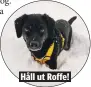  ??  ?? Håll ut Roffe!