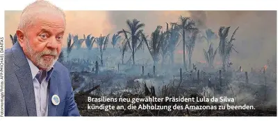  ?? ?? Brasiliens neu gewählter Präsident Lula da Silva kündigte an, die Abholzung des Amazonas zu beenden.