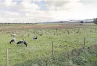  ?? Google Maps ?? Gaw End Lane, Sutton, where developer Bovis Homes are planning to build 330 houses