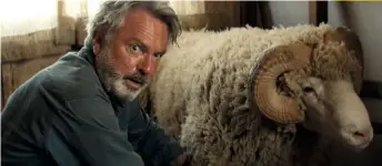  ??  ?? Above: “Will you two stop behaving like sheep? Oh, hold on…” Right: Sam Neill and the film’s star ram enjoy some quality time together.