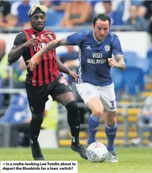  ??  ?? > Is a svelte-looking Lee Tomlin about to depart the Bluebirds for a loan switch?