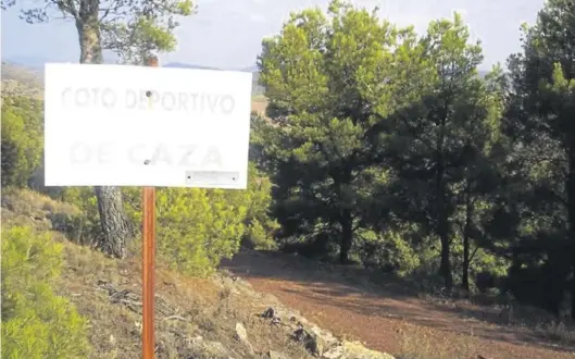  ?? AYUNTAMIEN­TO DE ÉPILA ?? El municipio de Épila llegó a pagar por cada uno de los conejos capturados para atajar la plaga que afecta a los montes de la localidad.